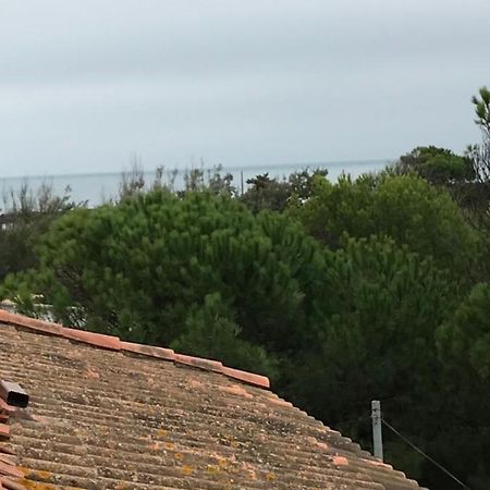 Vias Plage : Residence Securisee Bord De Mer Εξωτερικό φωτογραφία