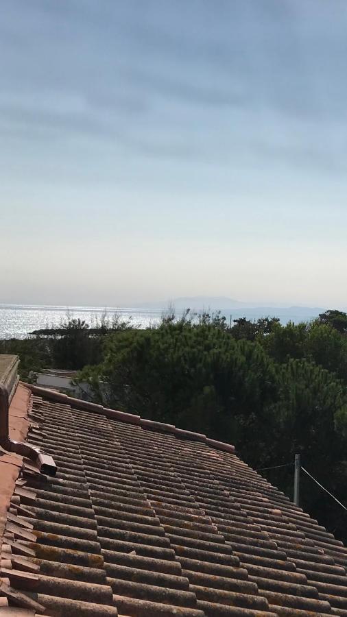 Vias Plage : Residence Securisee Bord De Mer Εξωτερικό φωτογραφία